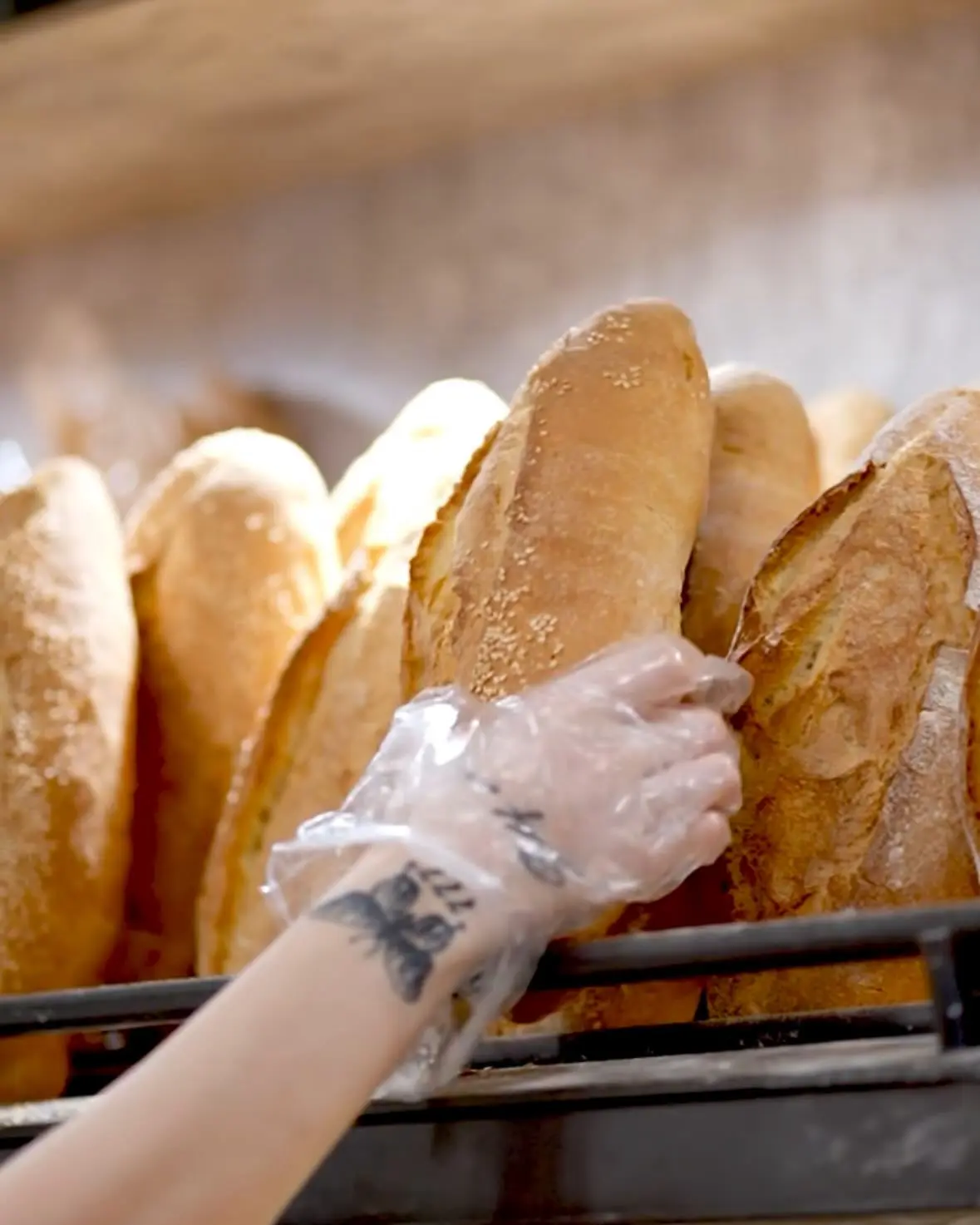 Artogonia Coffee Bakery